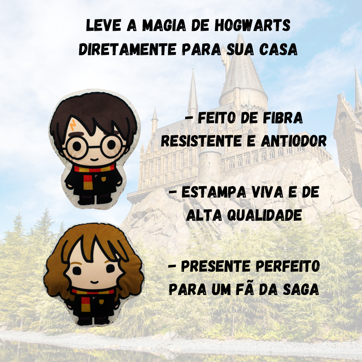 Kit Almofada Harry Potter e Hermione Formato 3D HP