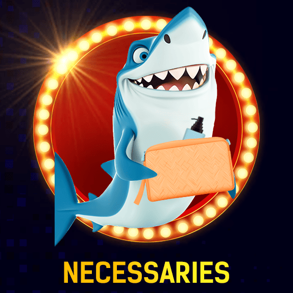 Necessaires