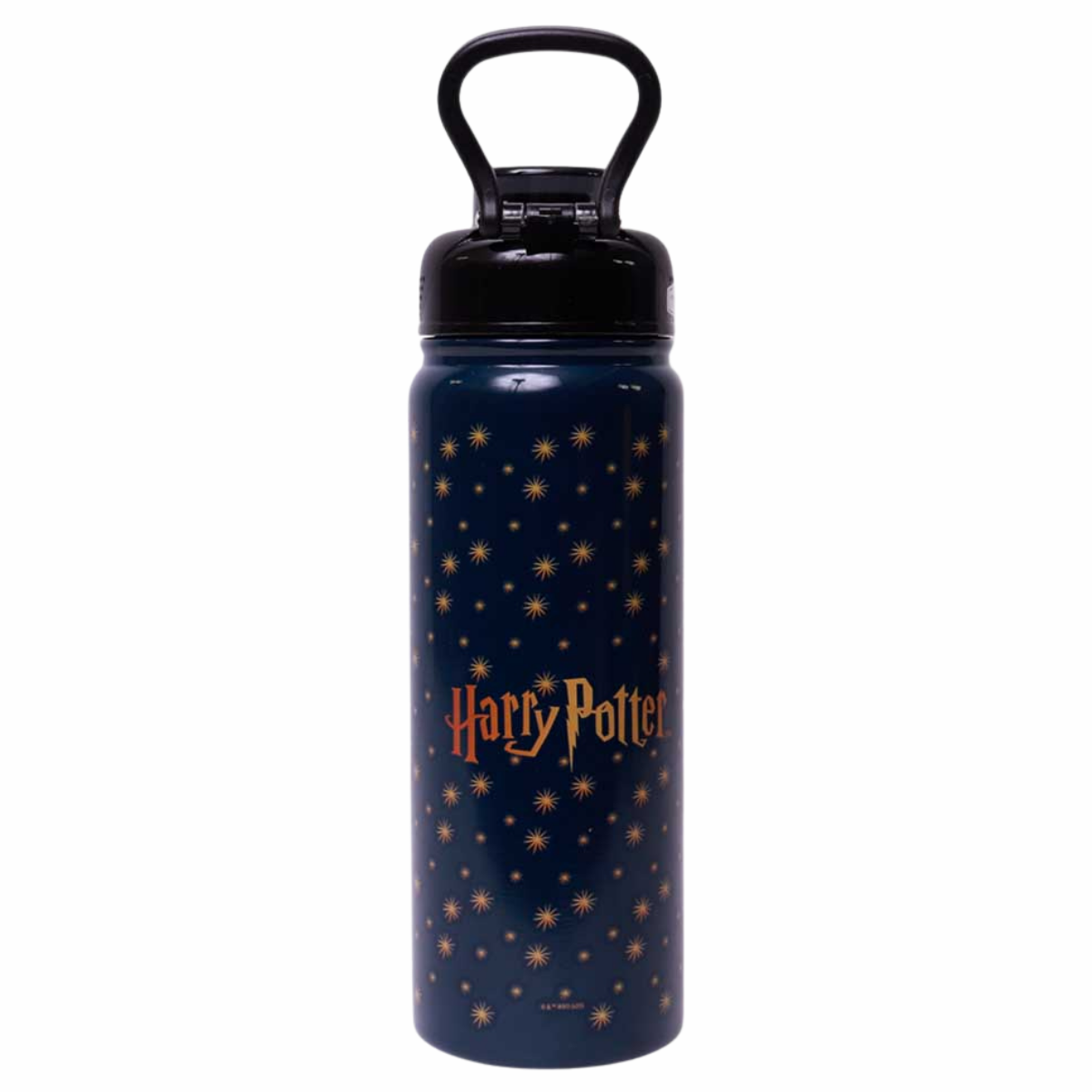 Garrafa Térmica Inox Harry Potter Hogwarts com Alça e Canudo 650ml