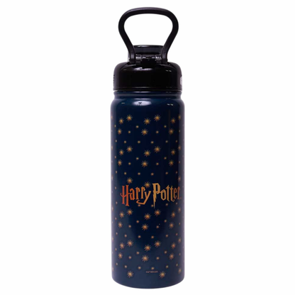Garrafa Térmica Inox Harry Potter Hogwarts com Alça e Canudo 650ml