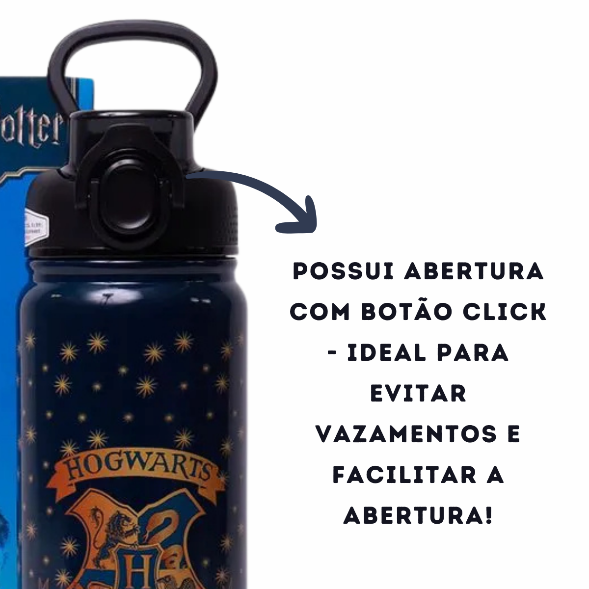 Garrafa Térmica Inox Harry Potter Hogwarts com Alça e Canudo 650ml