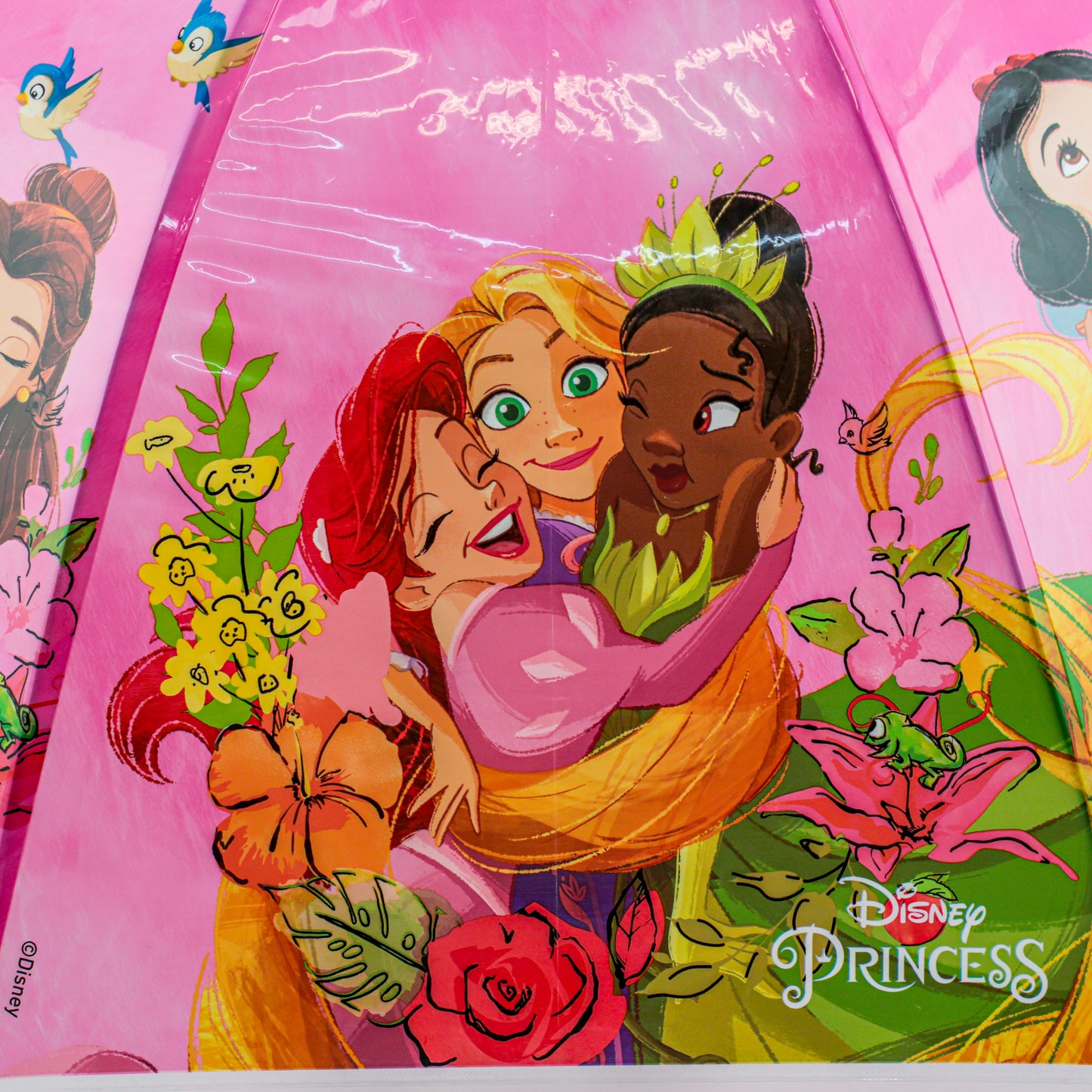 Guarda-Chuva Sombrinha Infantil Princesas Automático Plástico