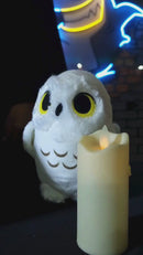 Kit Almofada Porta Pipoca Balde e Copos Hogwarts Harry Potter HP