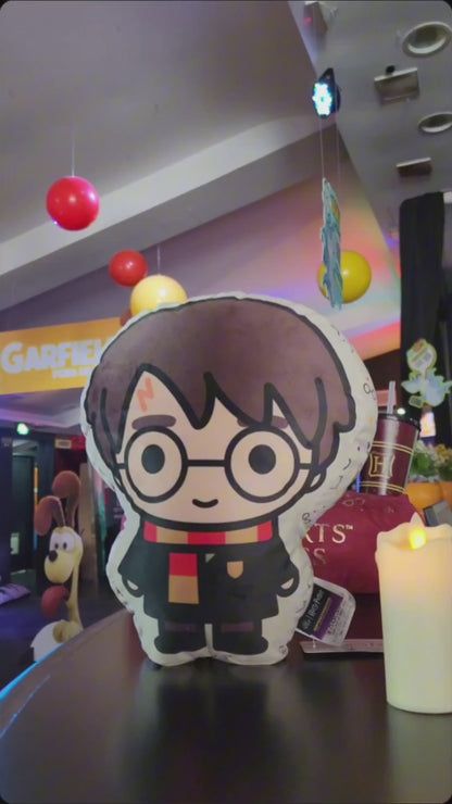 Almofada Harry Potter Formato 3D Personagem HP